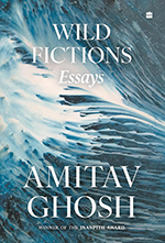 WILD FICTIONS ESSAYS